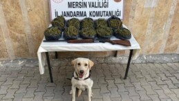 Mersin’de operasyon: 24 kilo skunk ele geçirildi